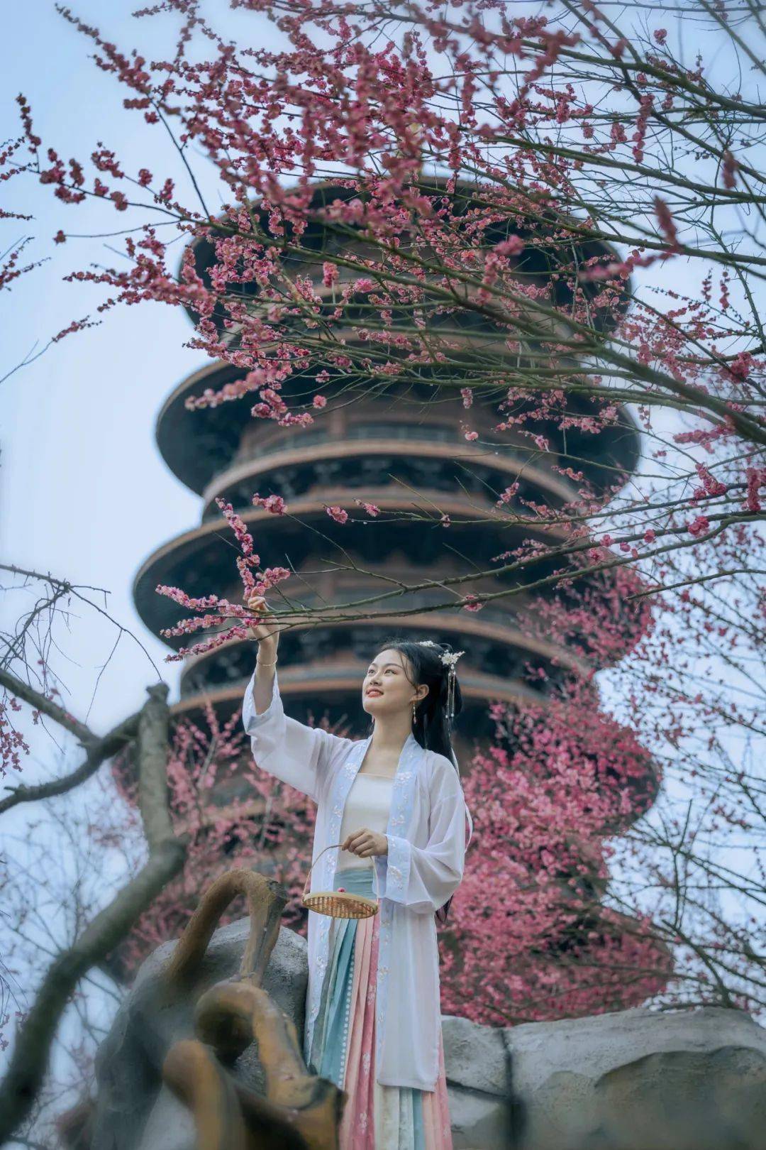 免票,半价_景区_门票_女性