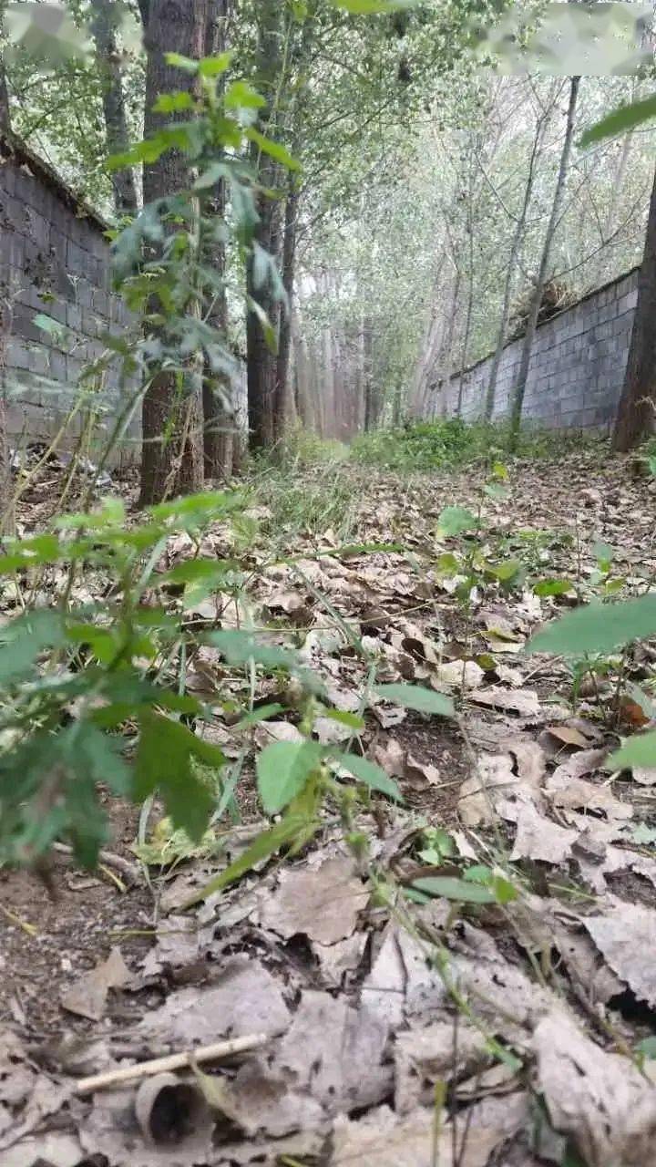 醉美农家乐,相约大碗酒——"大碗酒,大块肉"金秋乡