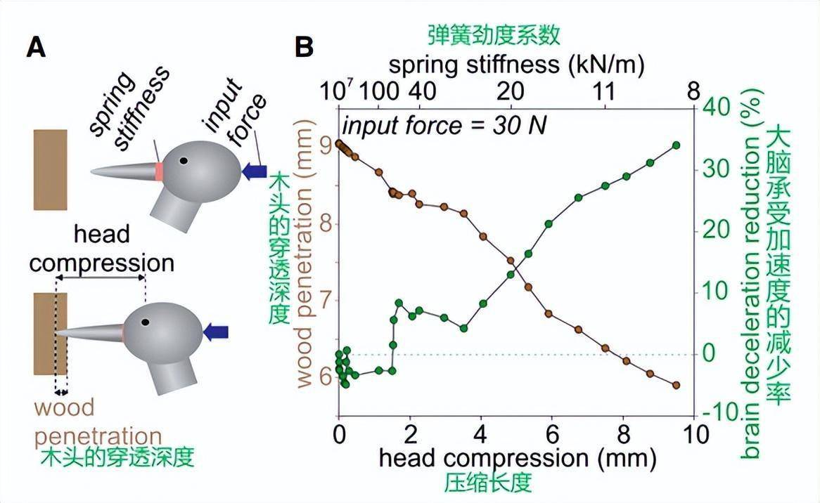 原来我们被骗好多年._观点_头部_缓冲
