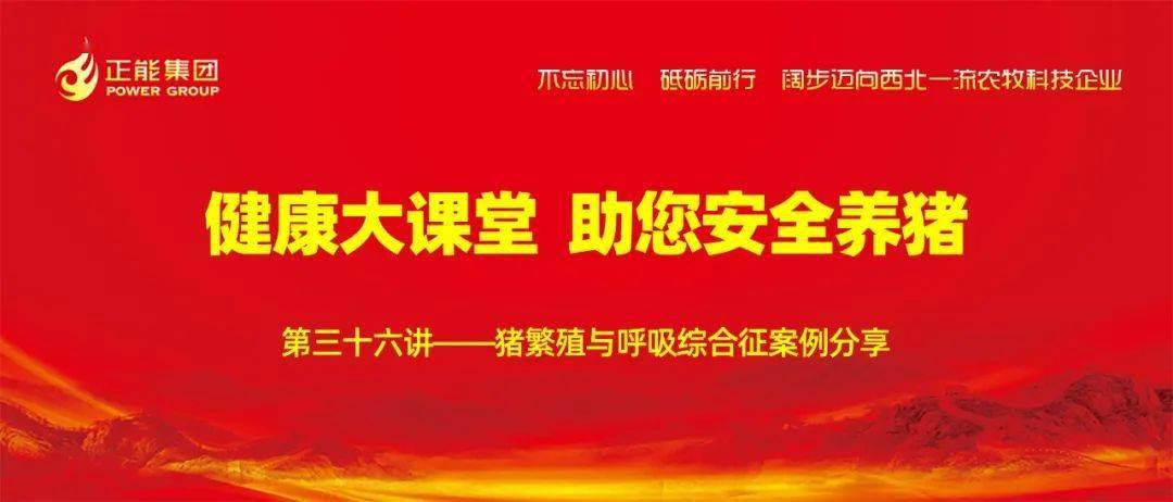 【正能健康大课堂】正能助您安全养猪|第三十六讲