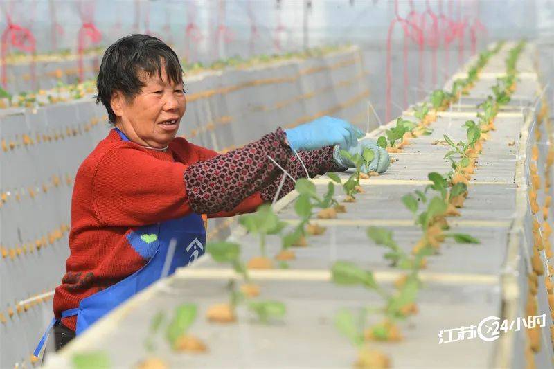 1日,盐城市大丰区农业综合行政执法局农机中队组织工作人员来到草堰镇