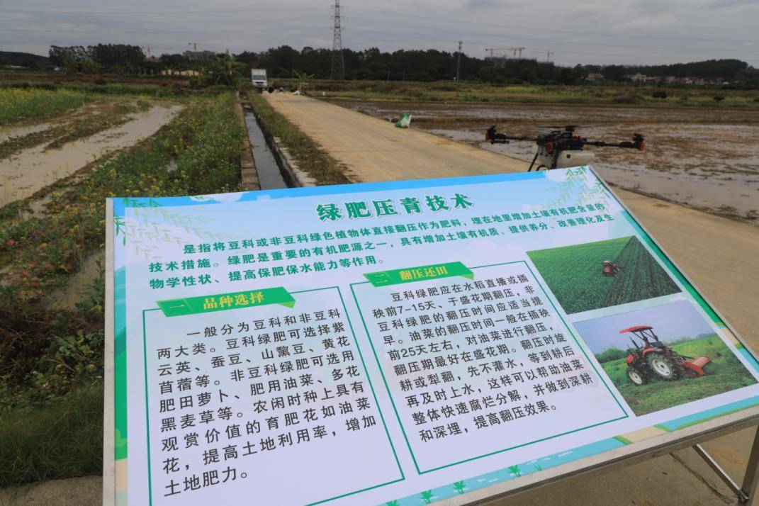 增城田间地头"火力全开"!_生产_工作_农业