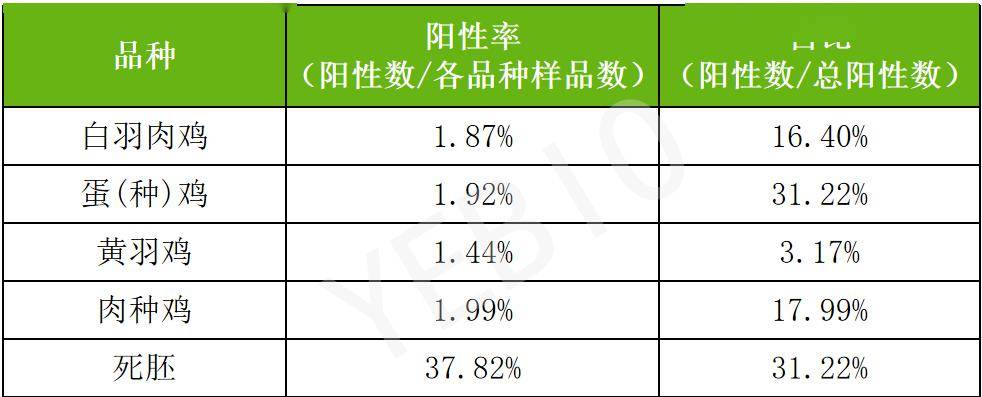 家禽细菌性疾病流行病学调查报告_统计_阳性_氏杆菌
