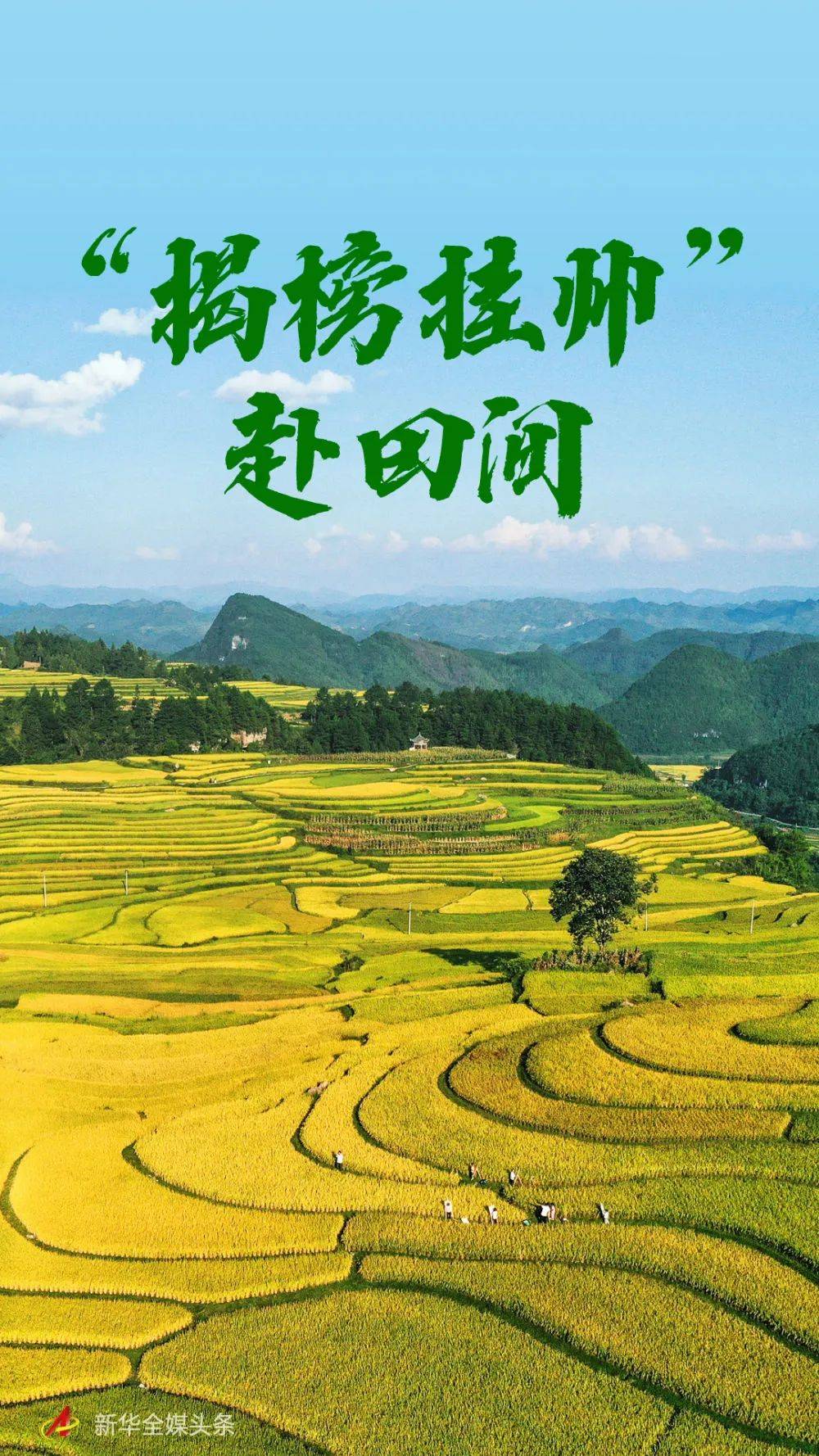 "揭榜挂帅"赴田间_辣椒_贵州省_农业