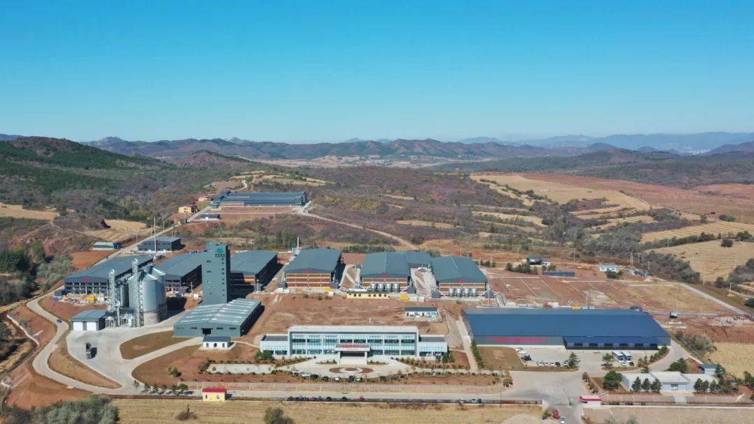 众信农牧重庆荣昌双河百万蛋鸡产业园项目正式启动_养殖_饲料_蛋品