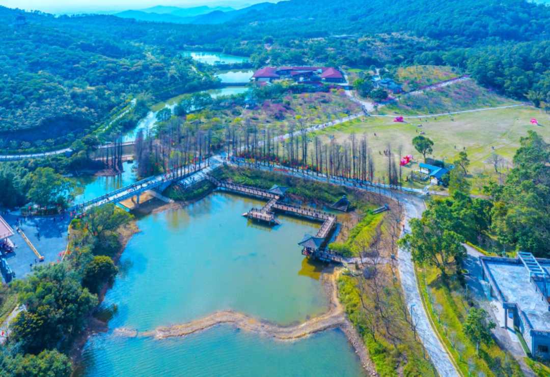 绿护桃源 彭伟宗摄目前,游客到圭峰山绿护桃源前往赏花的路线有两种