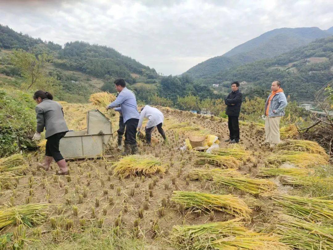 快来投票镇坪县第二届丽源杯残疾人摄影大赛投票开始啦