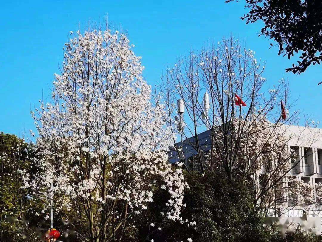 接下来的遂宁64花64花64花64花64花64