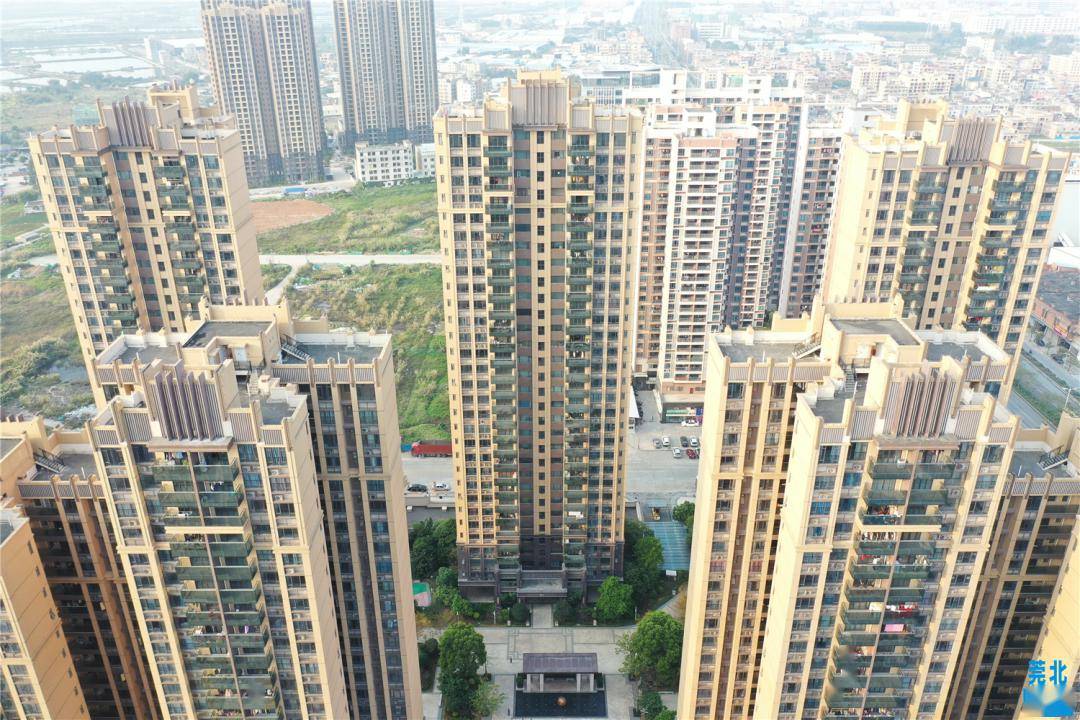 石湾最新学区范围划分来啦!_小区_小学_包括