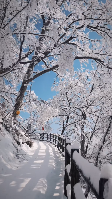 3月1日至31日,栾川竹海野生动物园对郑州市民免票啦!