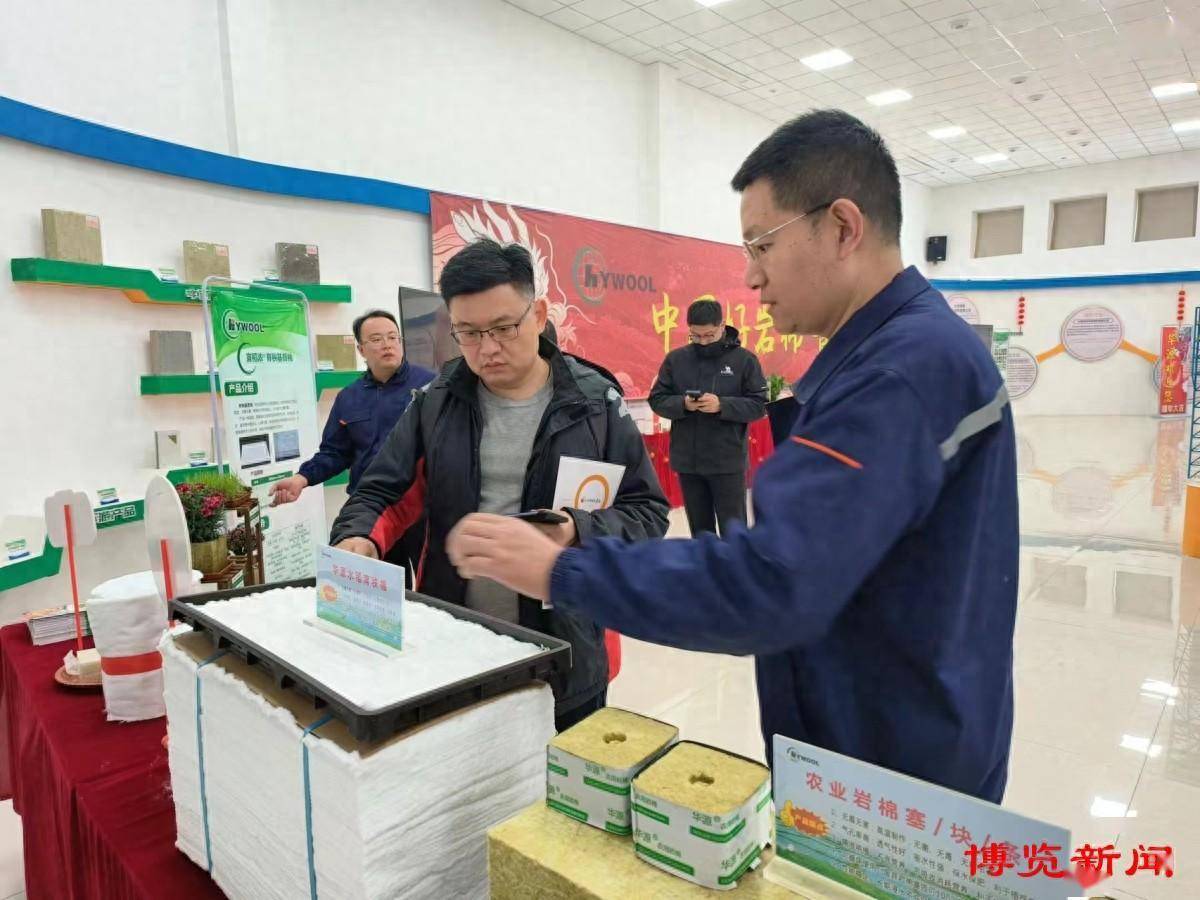 沂源石头棉里育出水稻苗