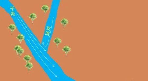 而是会出现海水在下,河水在上的现象,海水对河水产生顶托作用