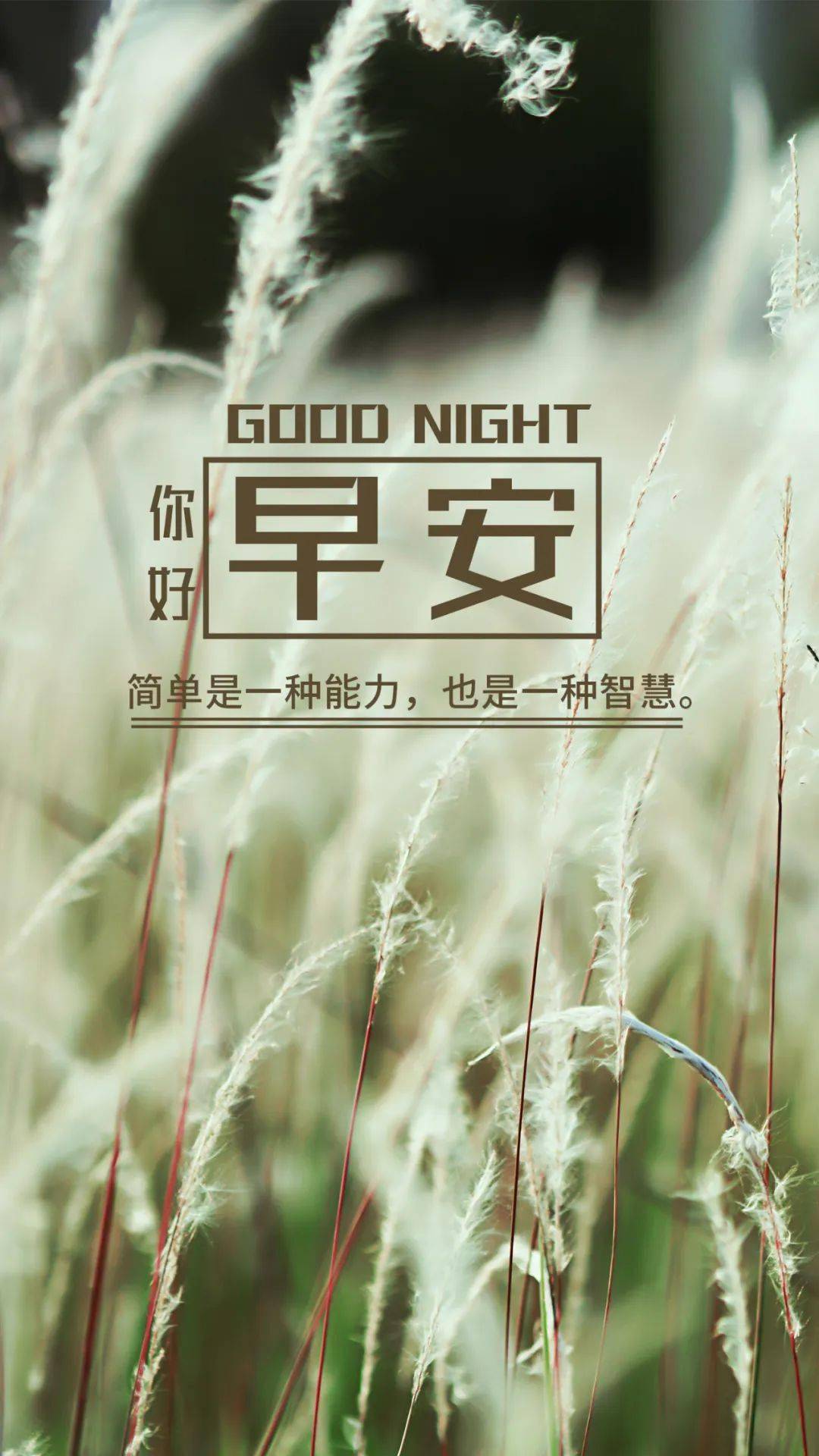 3月2日早安正能量生活感悟语录句子与其抱怨这个世界