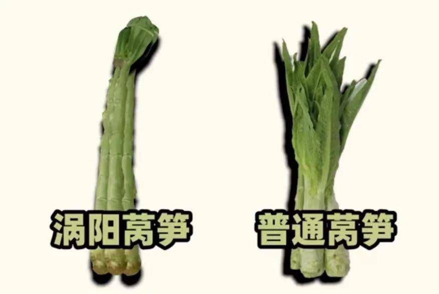 互联网果蔬"认亲"真相来了_莴笋_贡菜_樱桃