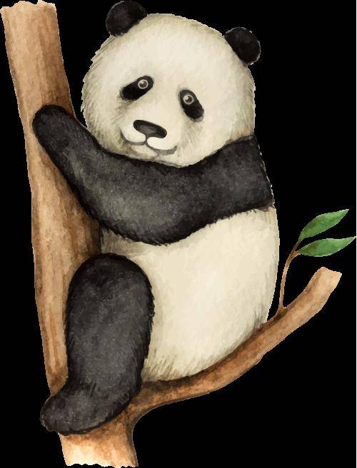 大侠_神龙_冒险