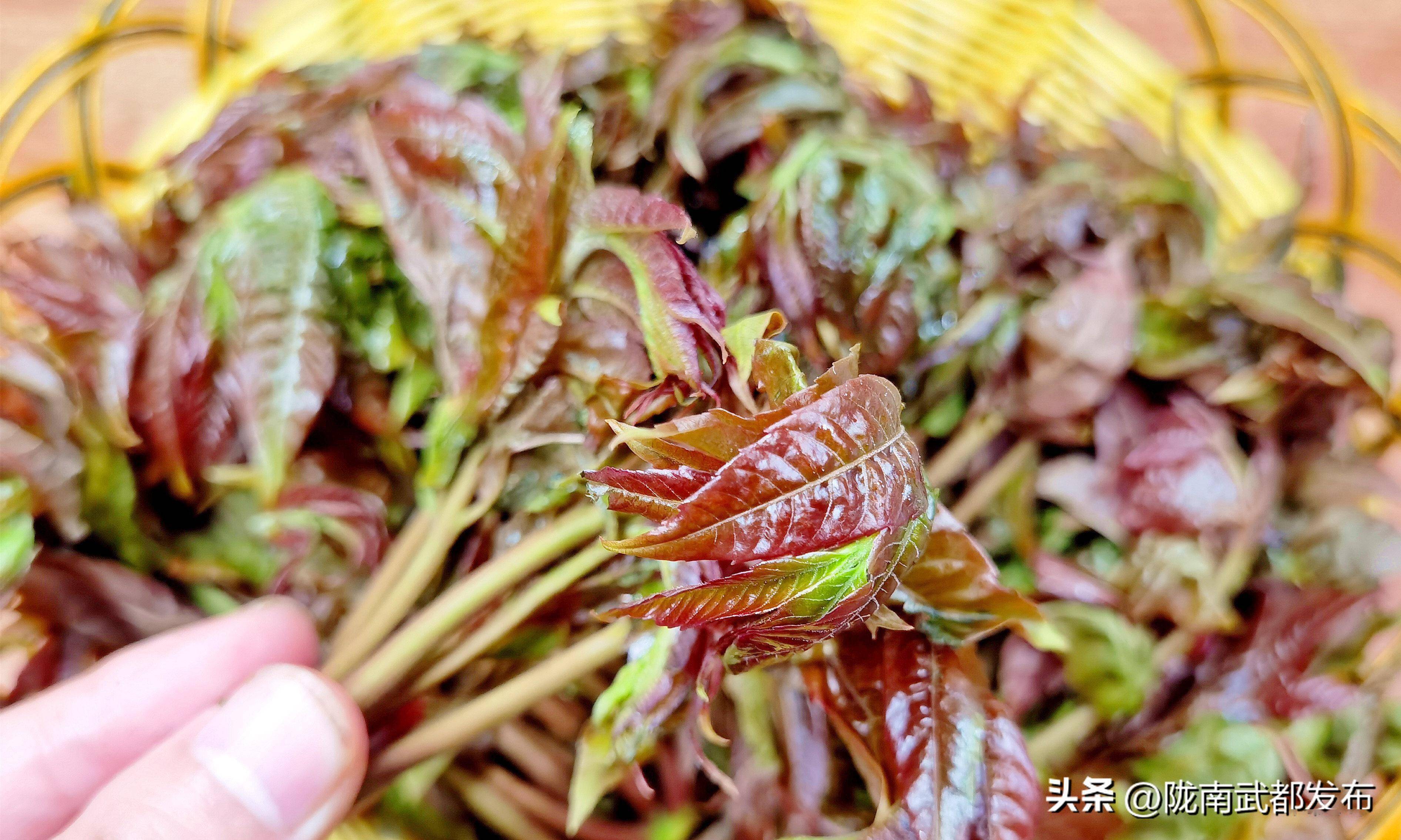 香椿味道图片