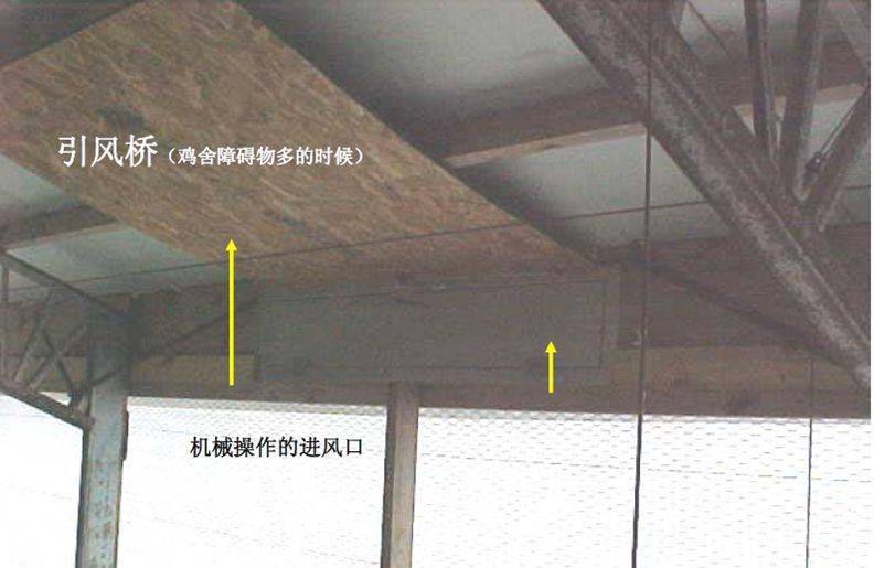 详解低温气候鸡饲养管理之通风管理_风机_空气_舍内