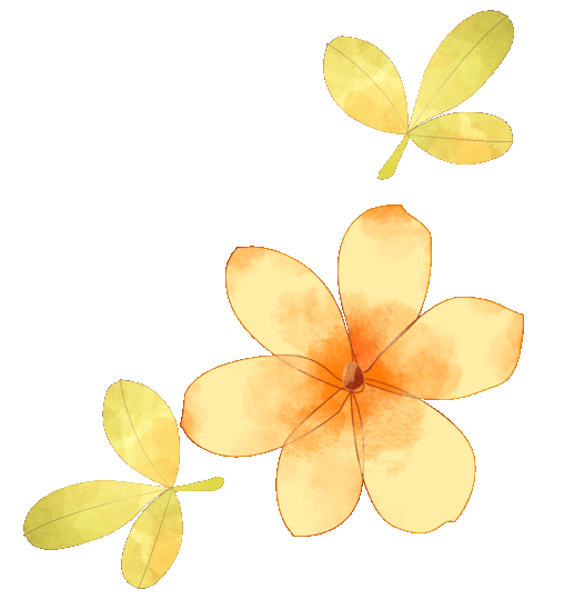 就在英东体育馆里面,也有几棵黄花风铃木~内康缆