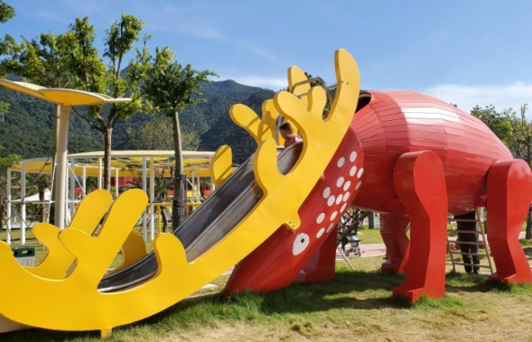 这里有孔雀放飞,丛林穿越,魔法乐园,萌宠乐园,园艺树乐园,无动力乐园