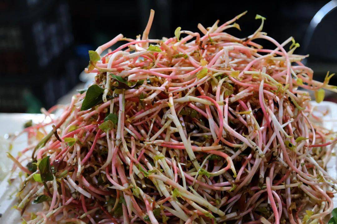 拇指大小自带青涩味的微微果酸是纯天然的酸味调料大理人善于运用各种