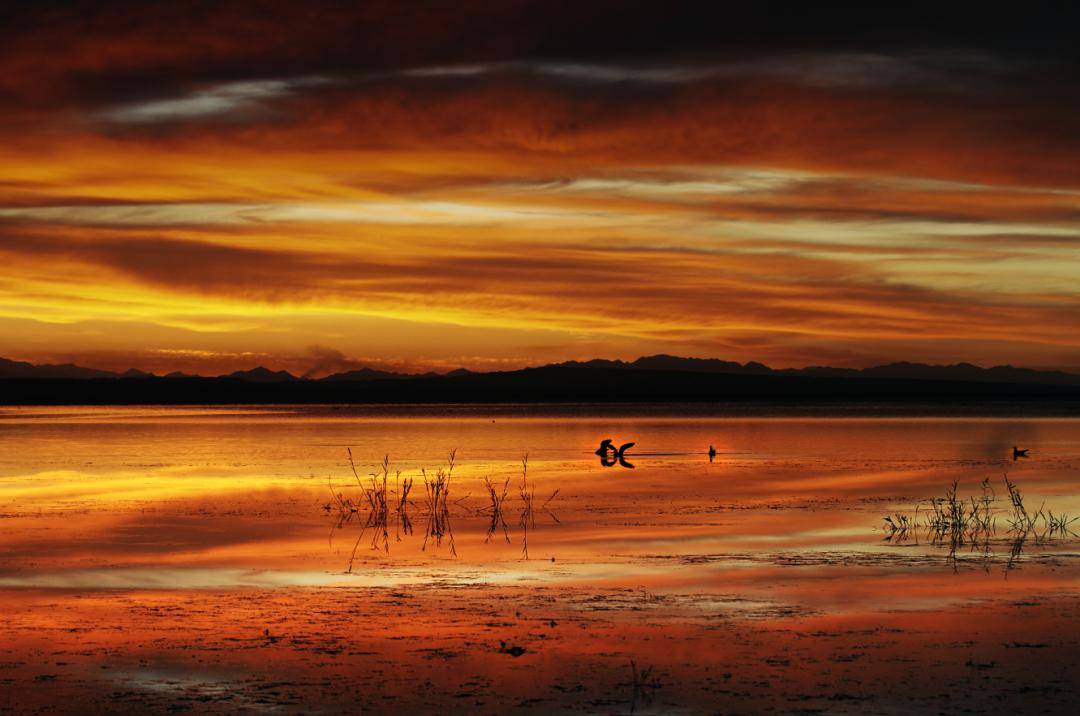 青海绝美山水图鉴,出发吧~_季节_新华社_浩瀚