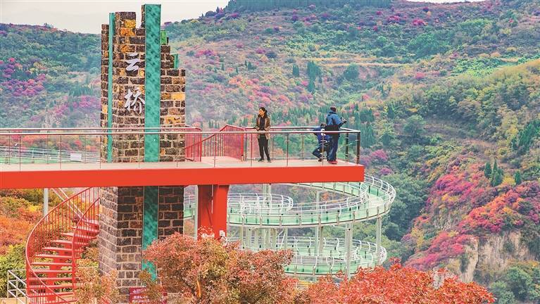 打造特色ip 文旅破圈出彩_广西_旅游_全国