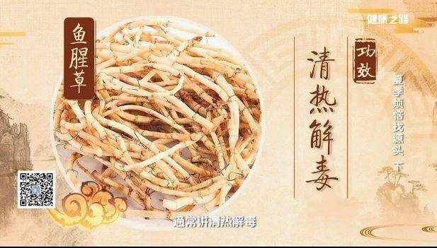 鱼腥草_穴位_咽喉