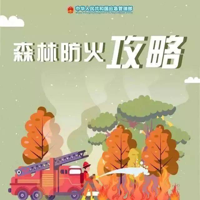 防火宣传 | 森林防火攻略请收下_火灾_林区_包括