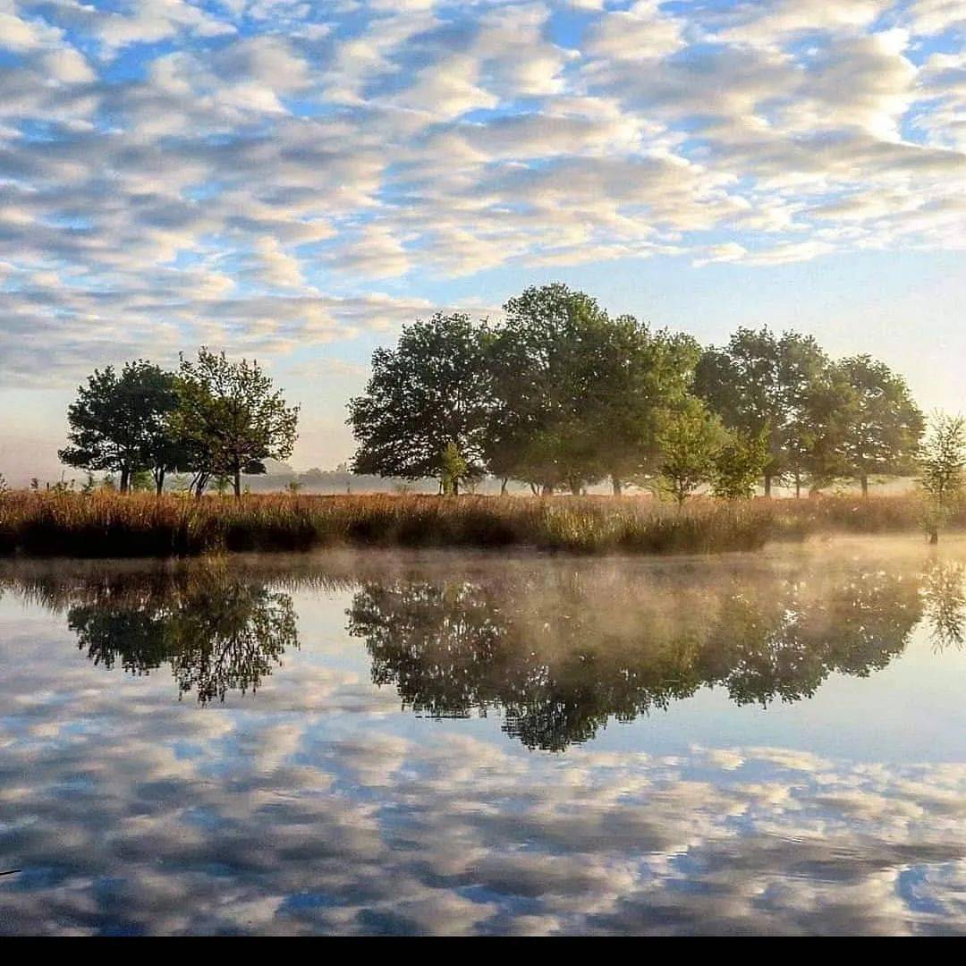 水映·树影_photo_by_看客