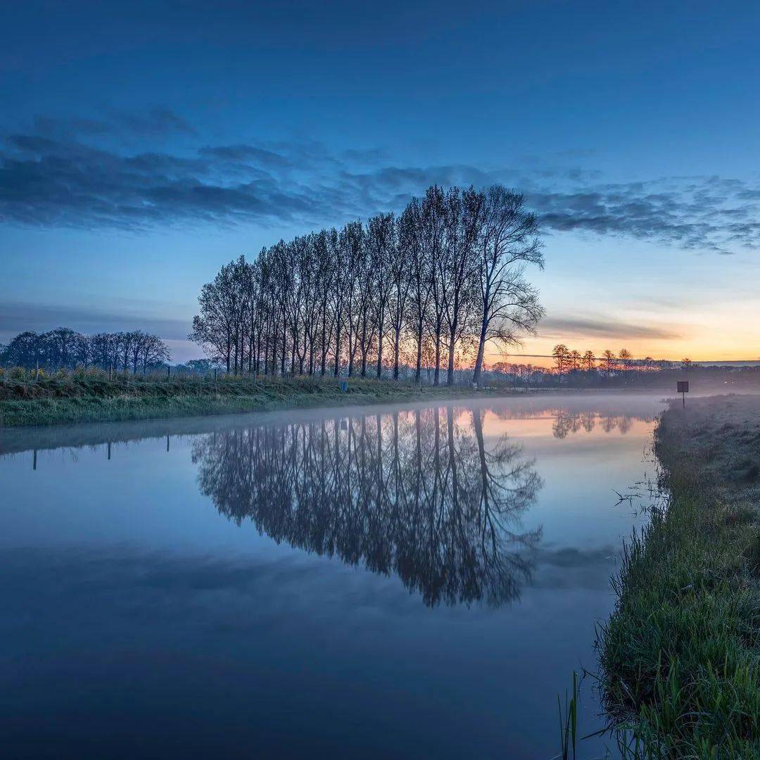 水映·树影_photo_by_看客