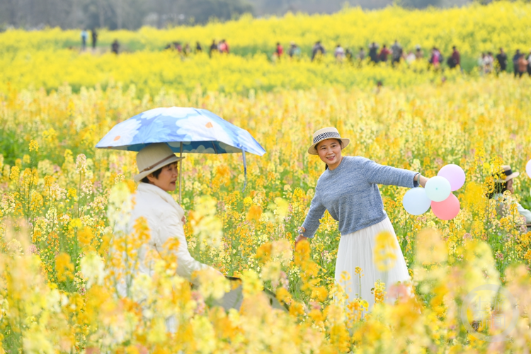 踏青赏花照片图片