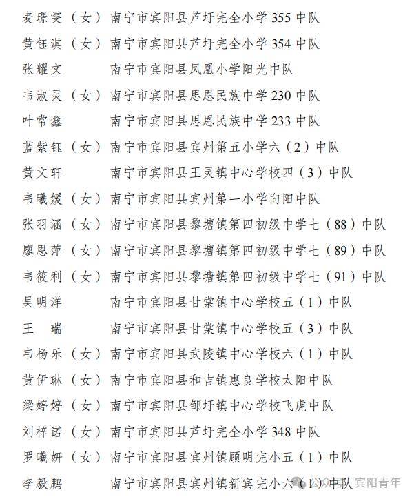 喜报| 宾阳县少先队集体,个人荣获广西2023年"红领巾
