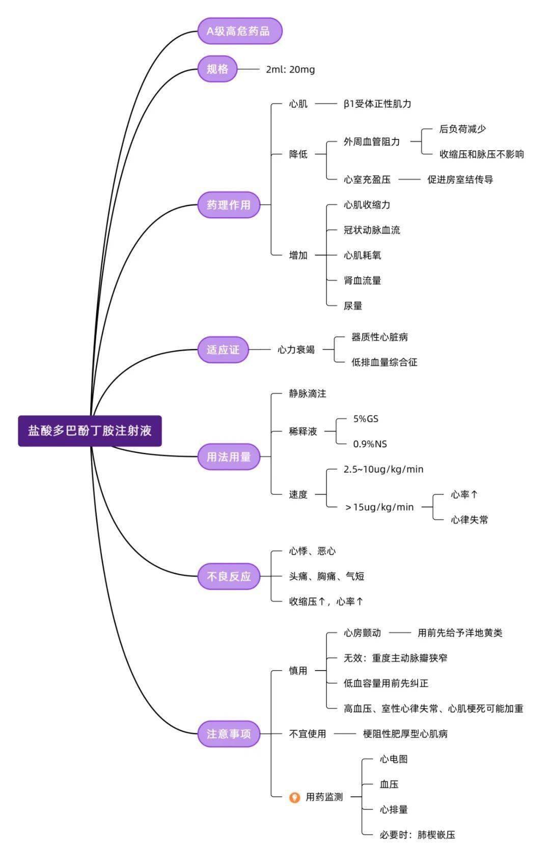 肾上腺素受体思维导图图片