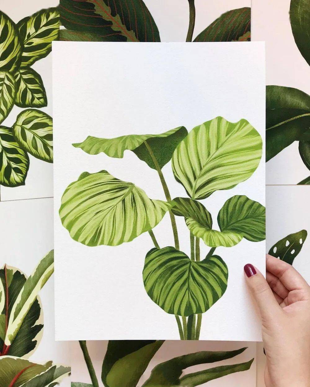 15幅清新水彩小叶子特写,适合临摹的水彩植物绘素材来啦~_交流_网络