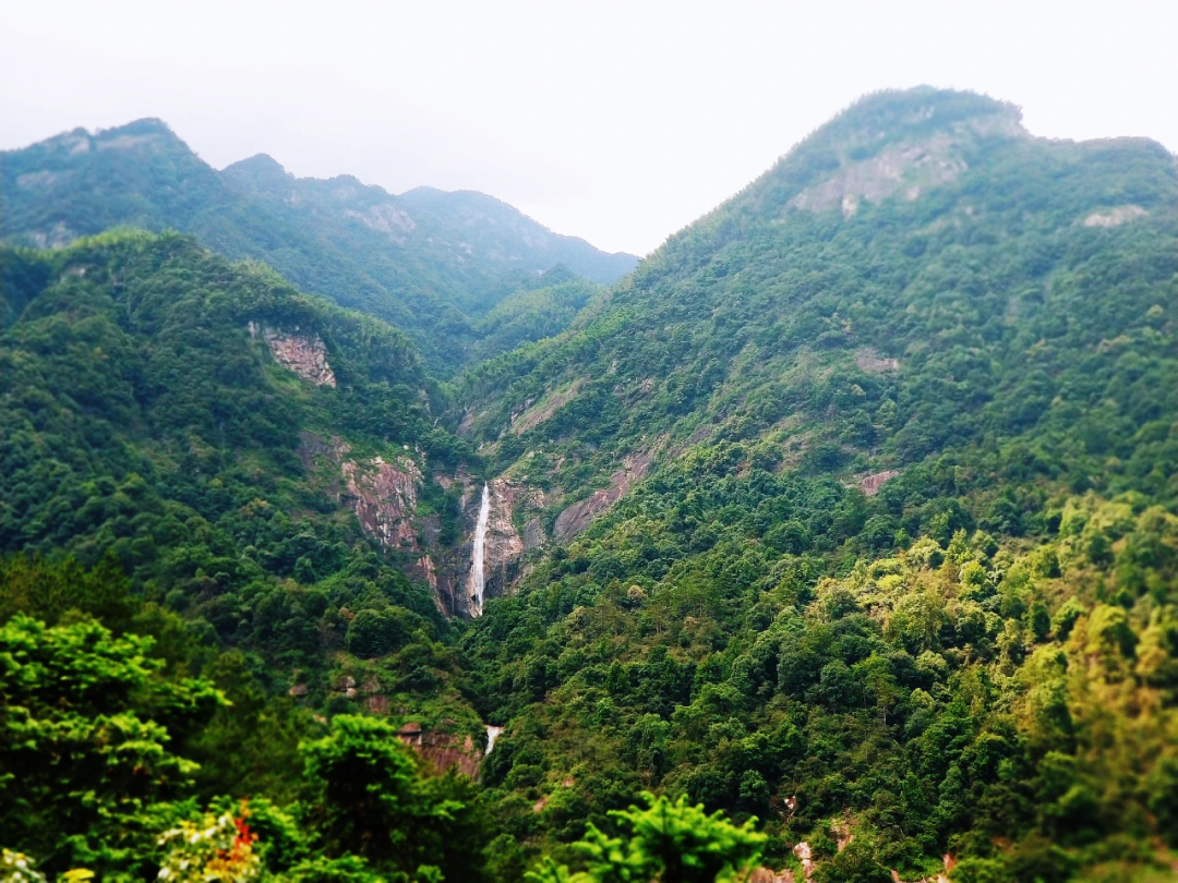 【休闲乡村游】九江市:来这里,上春山!_庐山_特色_景区