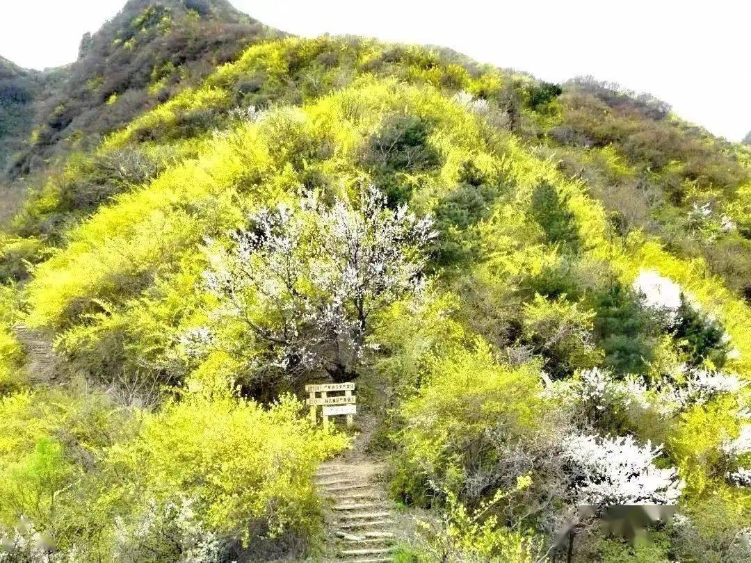 福利｜豫西大峡谷：3月8日—10日 所有游客免门票三天
