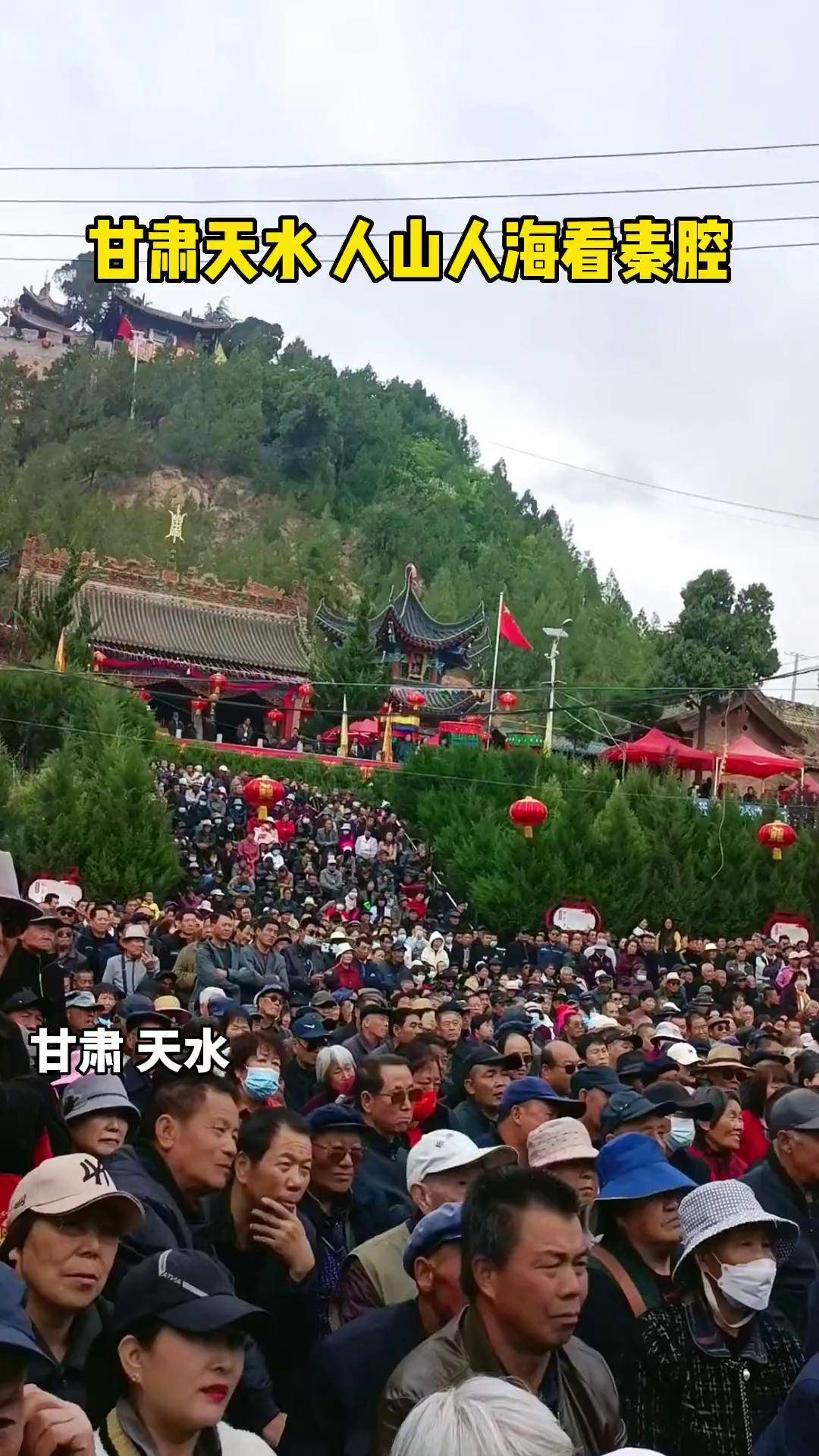 天水麦积区新阳镇全图图片