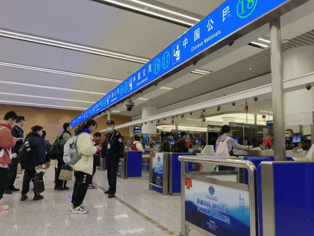 驻智利使馆提醒中国公民警惕毒蜘蛛风险新闻早知道