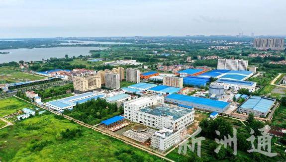 7亿!双柳又有大动作!_综合_武汉市_应急