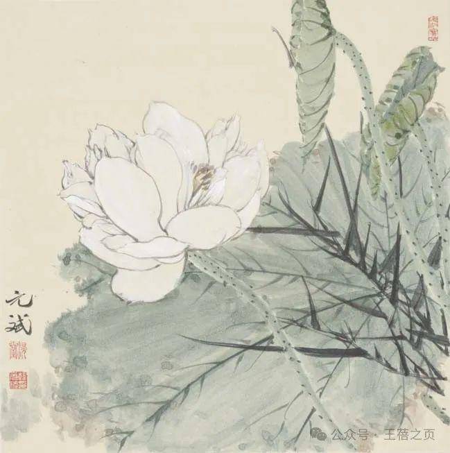 韩斌作品马新阳作品