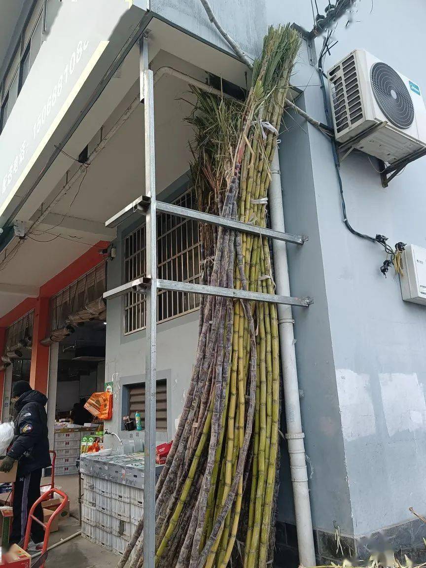 什么甘蔗这么贵?萧山网友:过个年吃不起了_价格_时间_产地