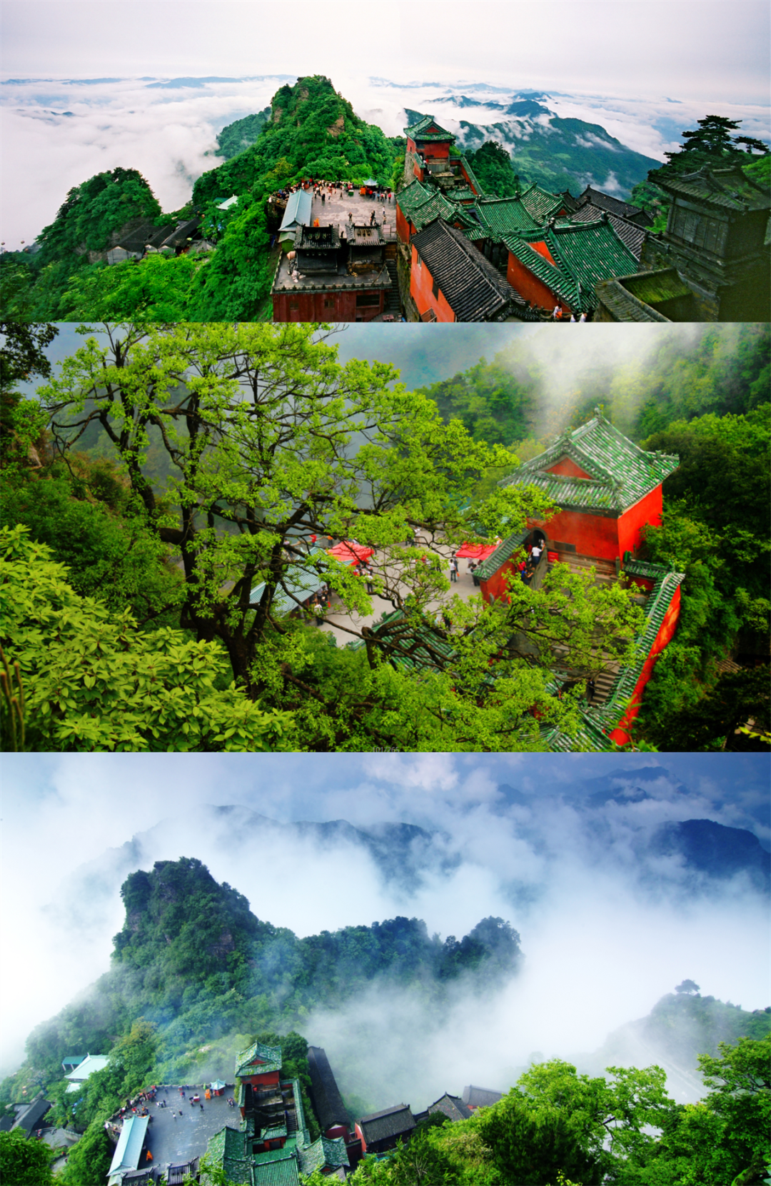 三八妇女节,半价游武当~_十堰_景区_游客