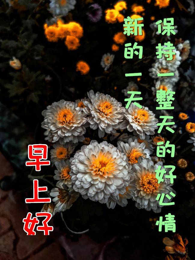 3月5日最漂亮早上好动态表情图片及早晨好动图美图大全今天很漂亮一段