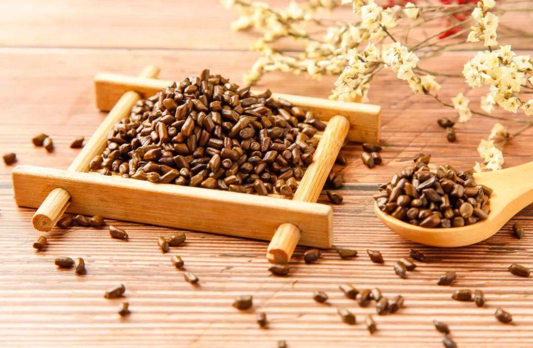 中医话中药之"决明子"