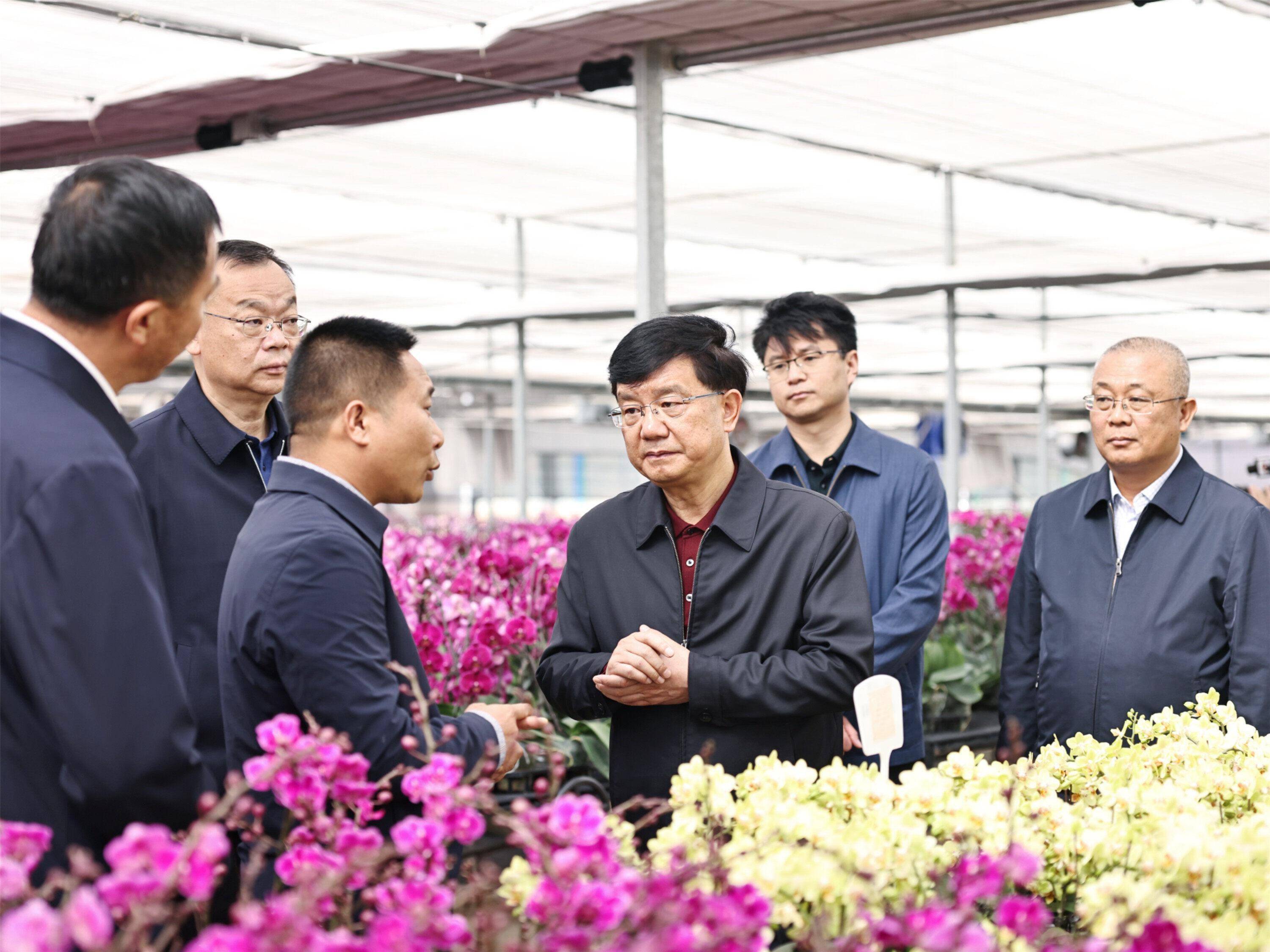 杨斌在陆良县调研时强调:以干在实处,走在前列,勇立潮头的精气神 奋力