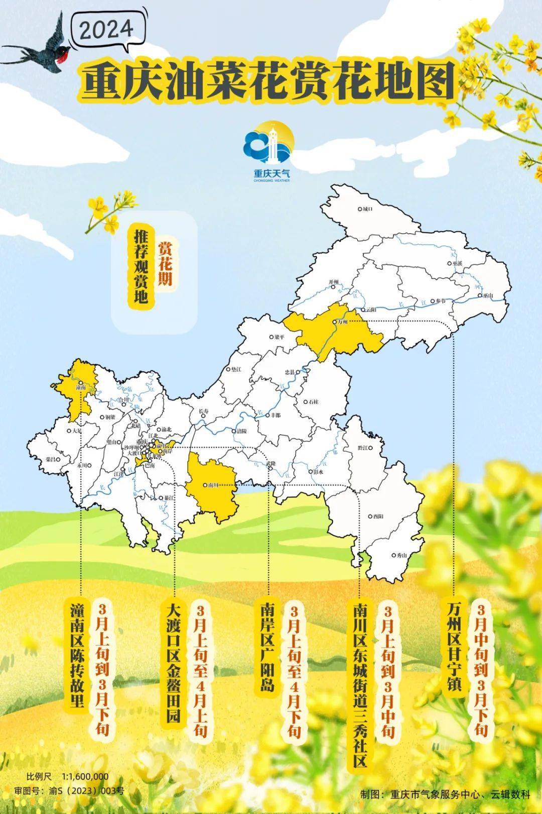 胡梦雪_潼南_油菜花