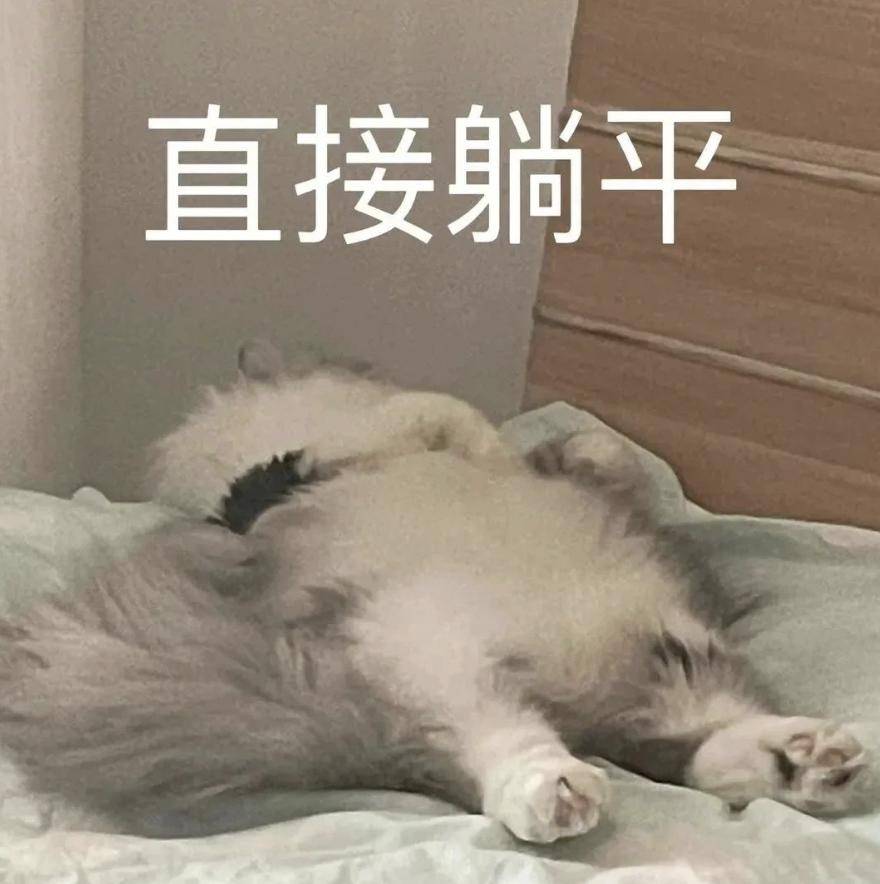 能顶半个厨房如果只留一个锅我会选它不是空气炸锅