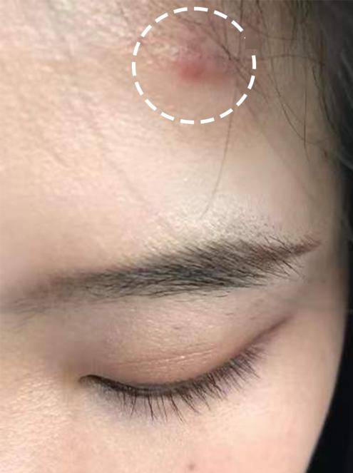 别再买针织衫了早春流行买这些时髦又舒适