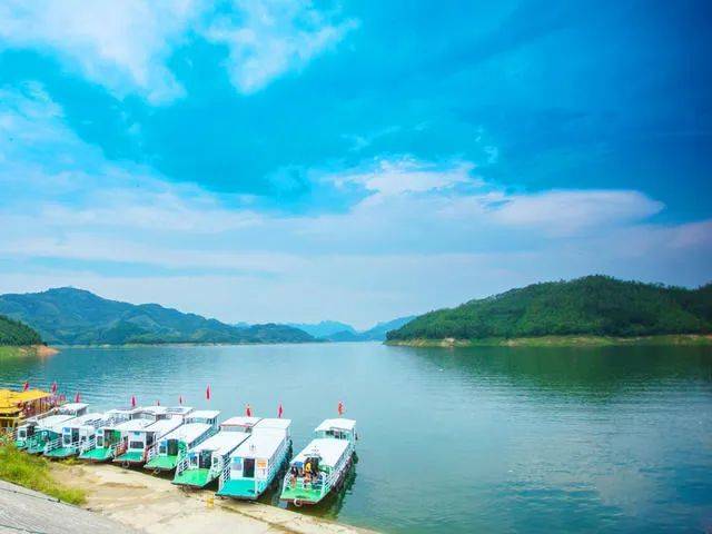 3月20日番禺电台主持人带队出发云南→贵州,赏80万亩油菜花海,大峡谷