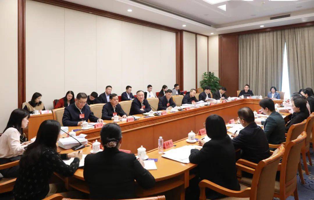 审议现场代表热议政府工作报告